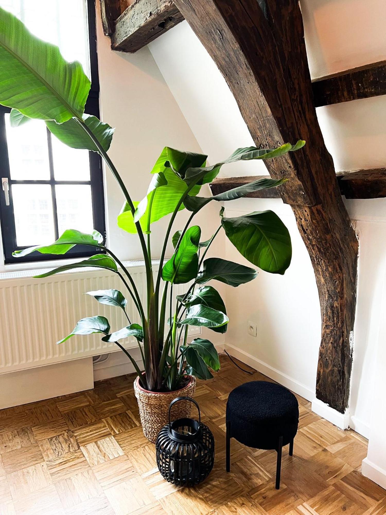 Nammos Home'S Antwerpia Zewnętrze zdjęcie